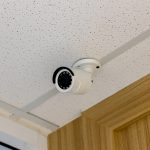 Surveillance system outdoor